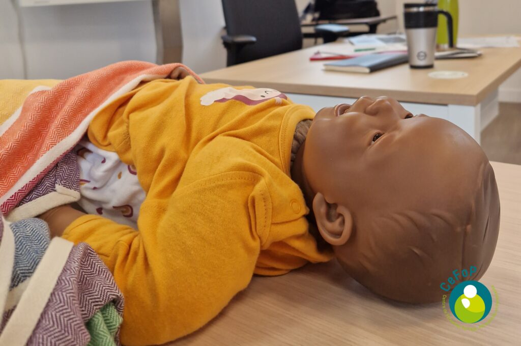 formation portage bébés crèche