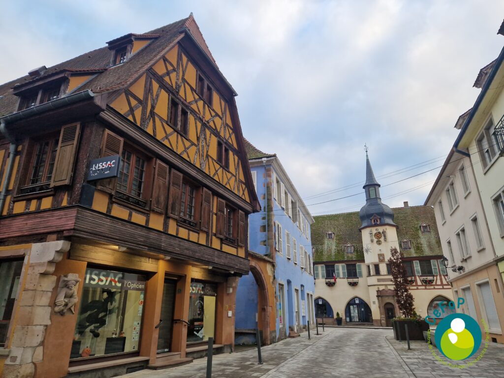 formation portage bébé crèche alsace